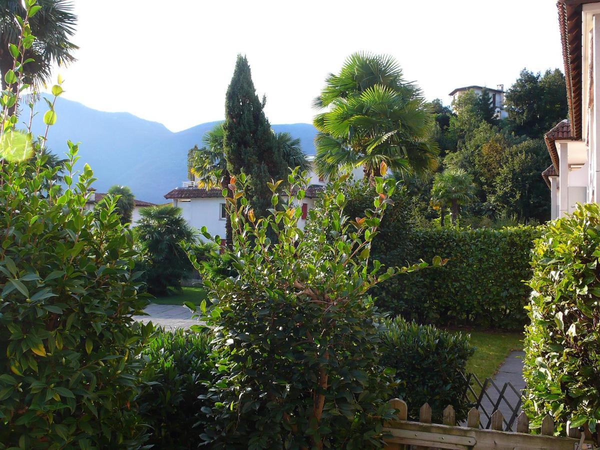 Apartment Collina B